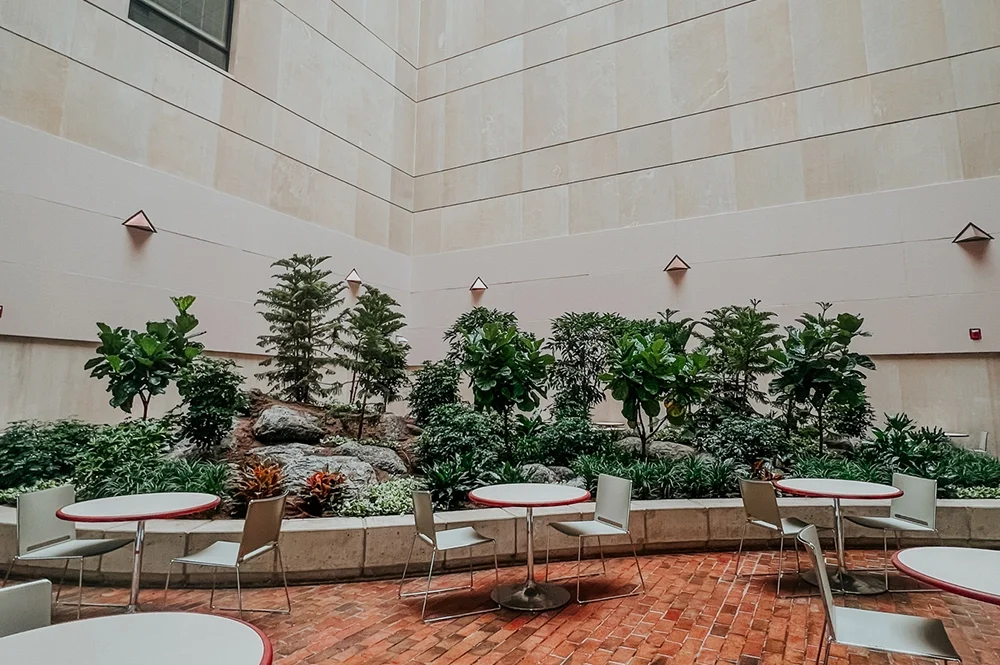 Psychology Building atrium