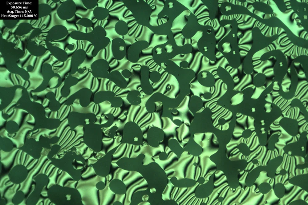 Optical micagraph