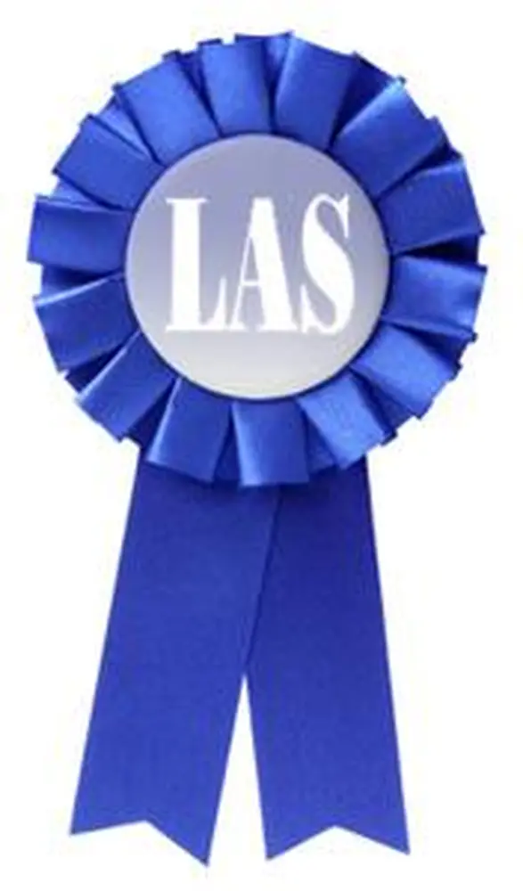 LAS Staff and Academic Professional Awards