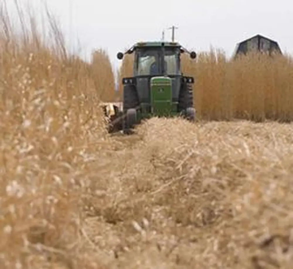 Rethinking Biofuels
