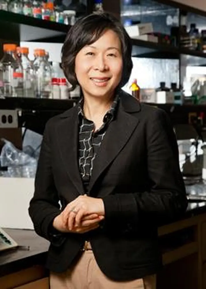 A New Tool in Reducing Obesity