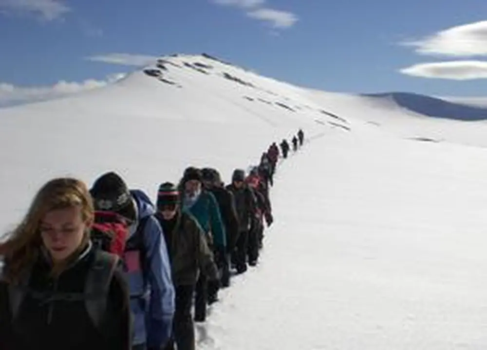 Insights in the Arctic