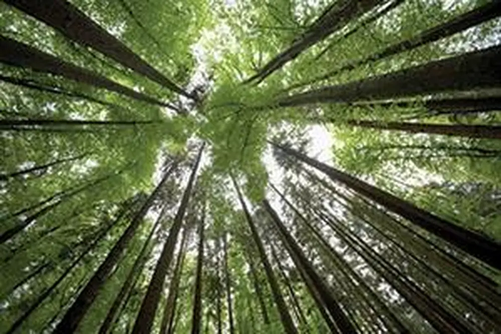 Digging into Sustainability