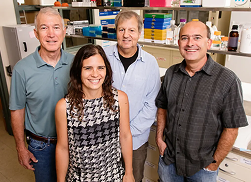 Study examines the effects of chemotherapy on cognitive ability