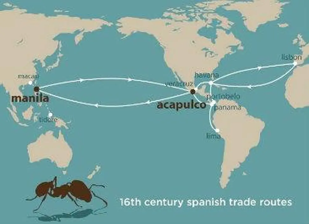 Silk, gold, spices, and...ants?