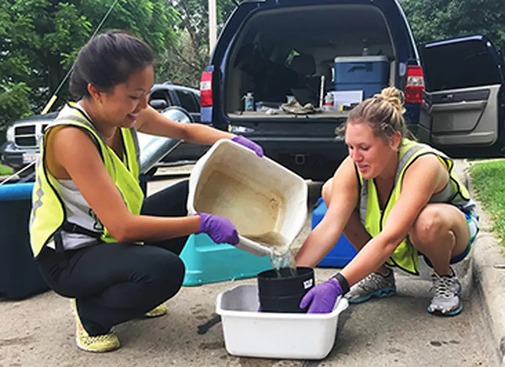 Students receive Access and Achievement Program fellowships in animal biology 