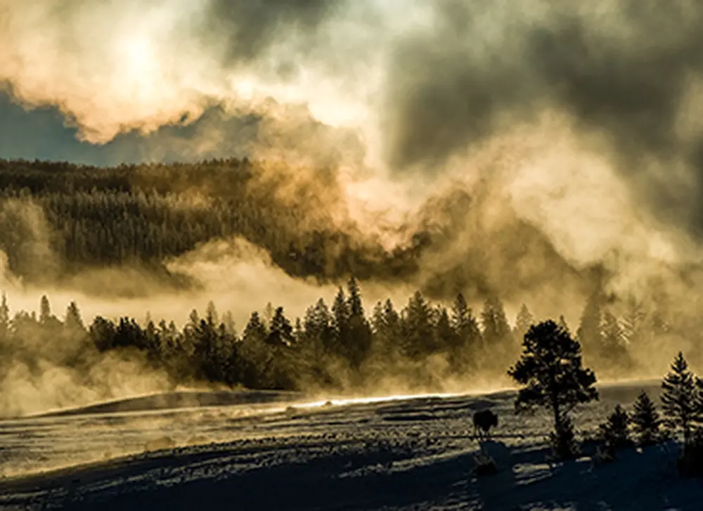 The art and science of Mammoth Hot Springs