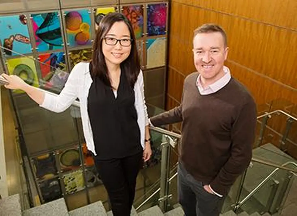 Researchers take a step toward more effective bone marrow treatments