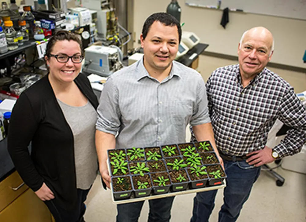 Newly characterized protein has potential to save U.S. farmers millions annually