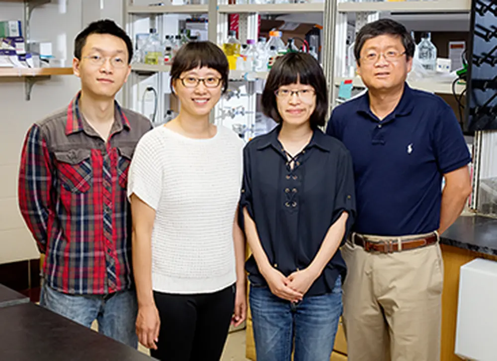 Study offers new insight into powerful inflammatory regulator