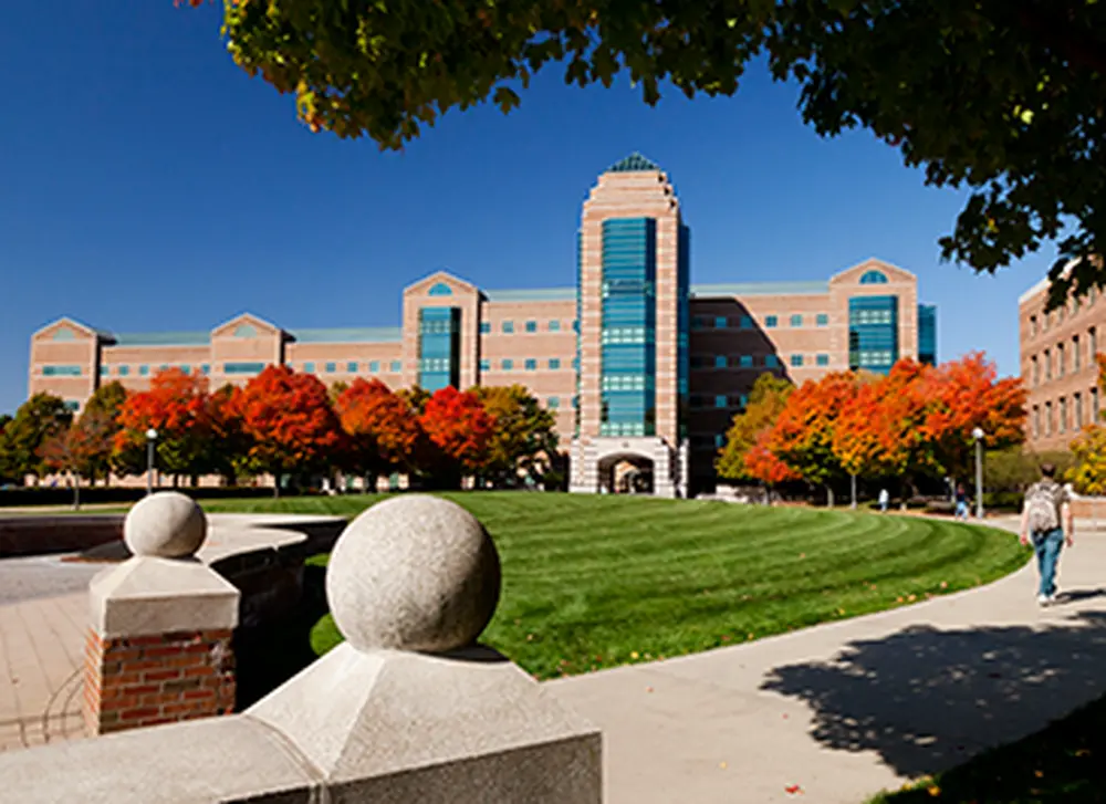 Thirteen students in LAS win 2017 Beckman Institute awards