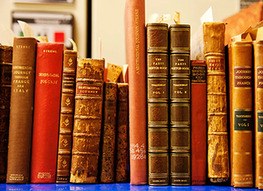 Center for Advanced Study appoints seven new faculty members