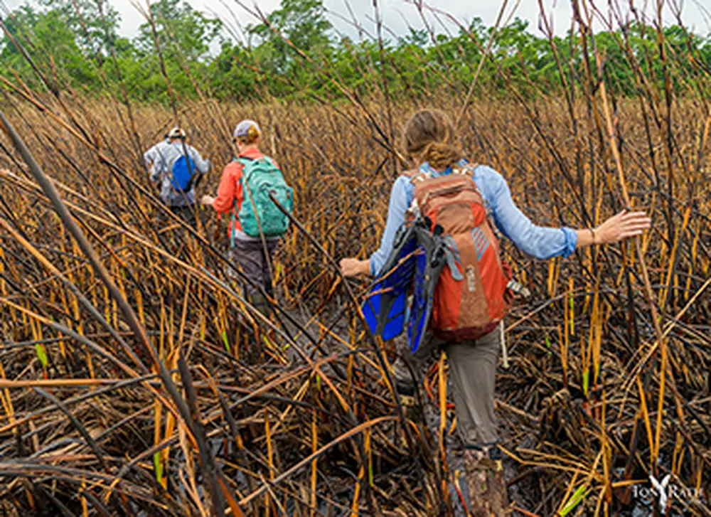 Searching for an ancient Maya pilgrimage path: Fire and water
