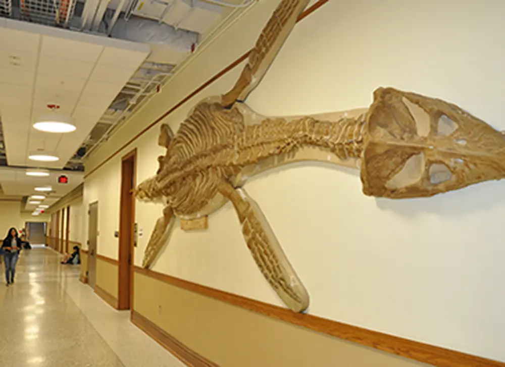 Renovated: The Natural History Building reopens