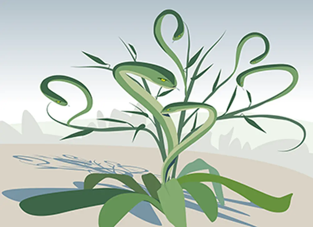 Some plants grow bigger (and meaner) when clipped, study finds