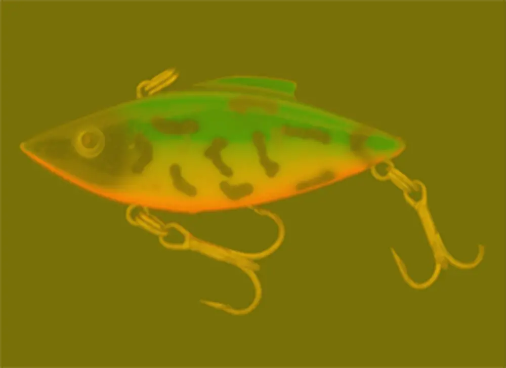 Seeing the world like a fish