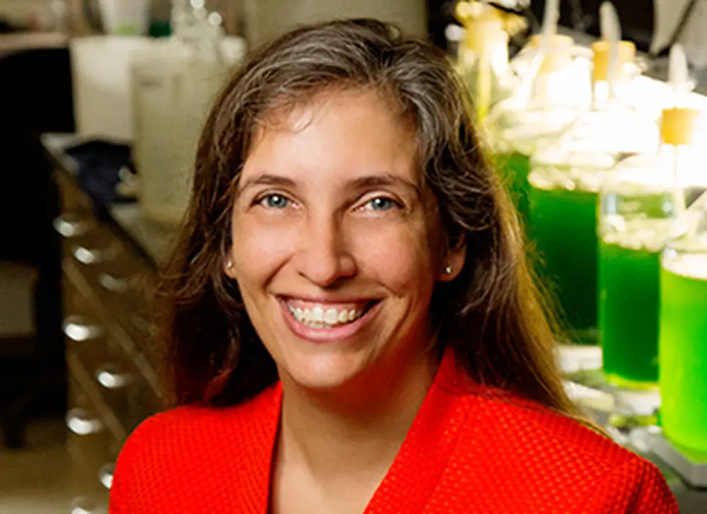 Two College of LAS faculty members elected AAAS Fellows