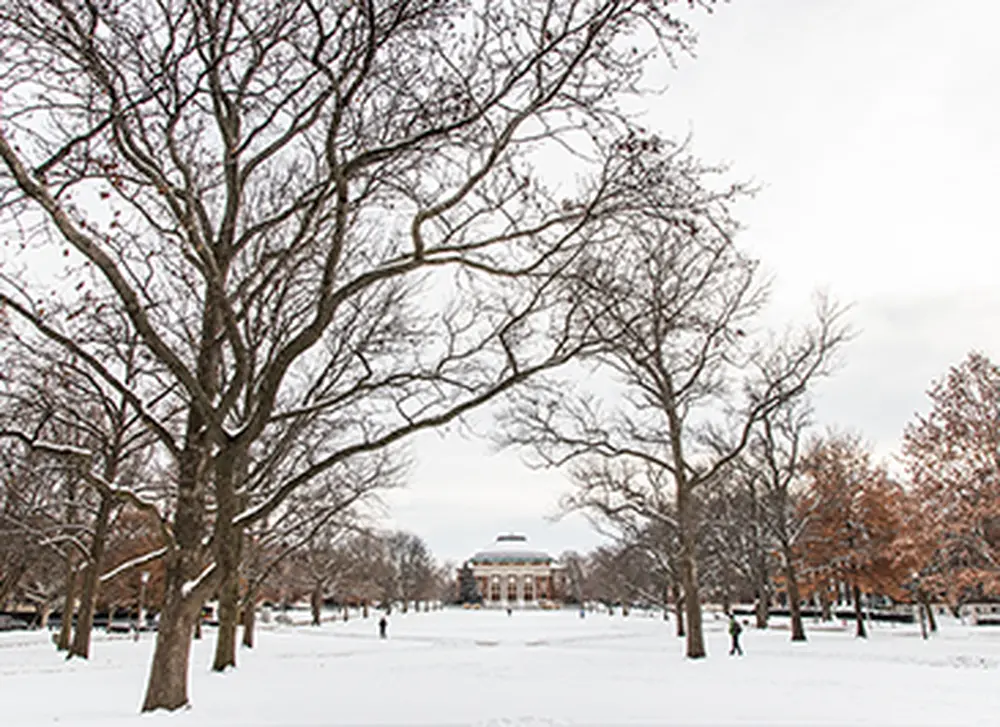 Professorial Scholars named by the College of LAS