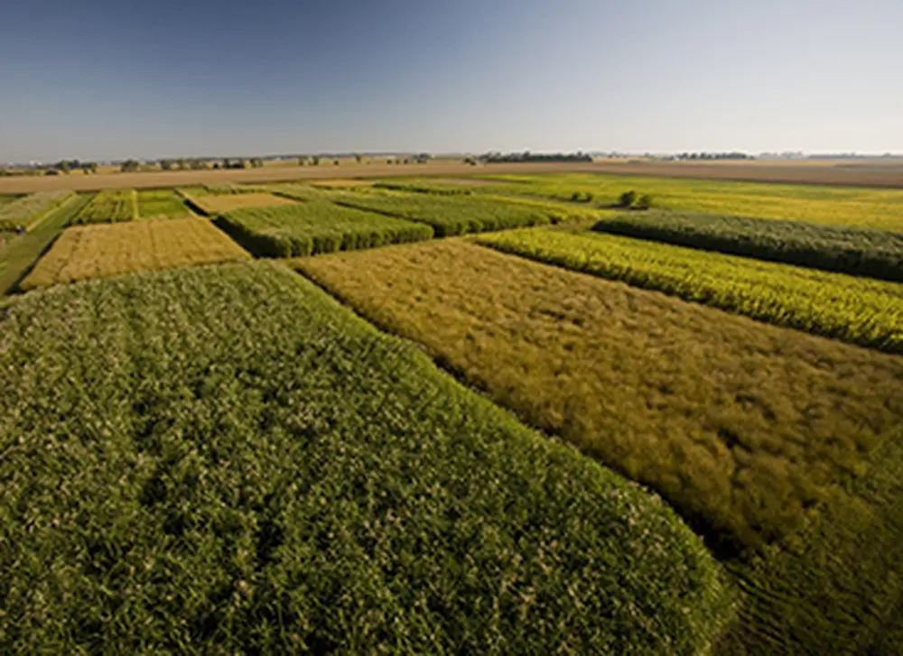U of I receives $10.6 million to produce biodiesel and biojet fuel