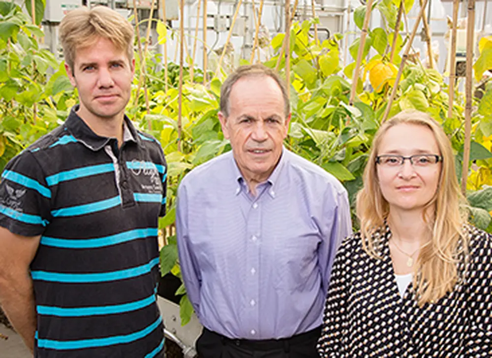 Scientists engineer crops to conserve water, resist drought