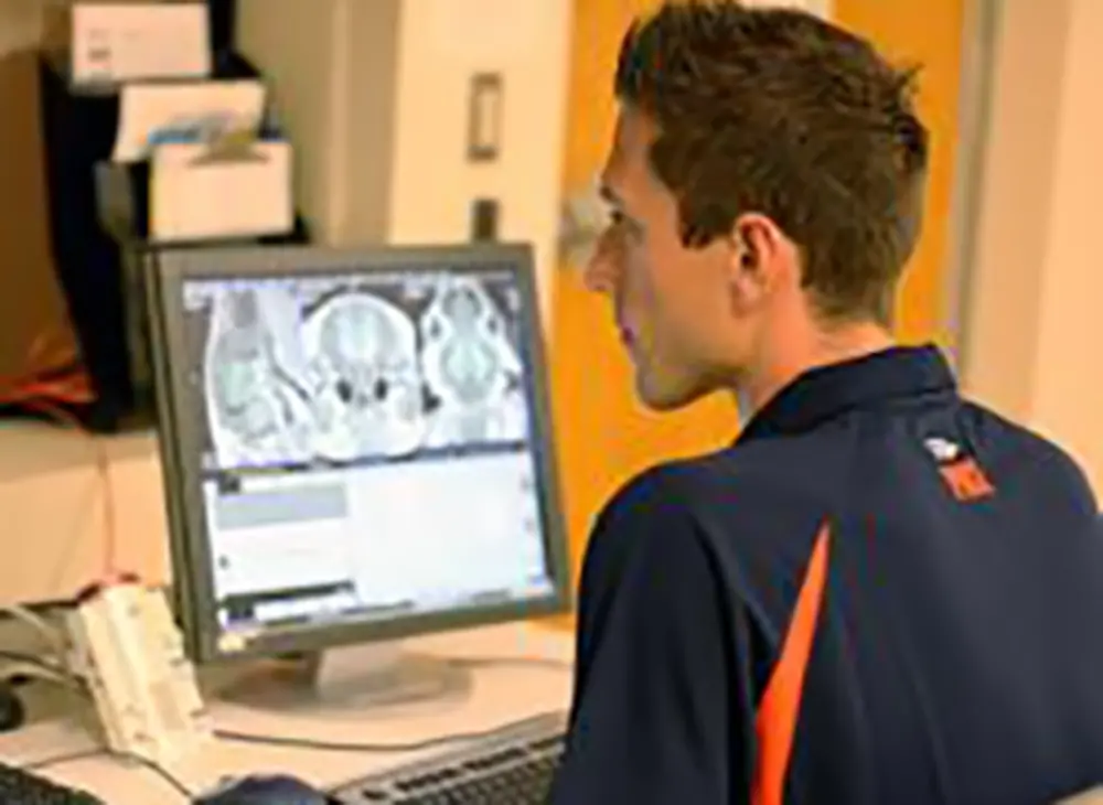 Research: Choline can influence fetal brain development