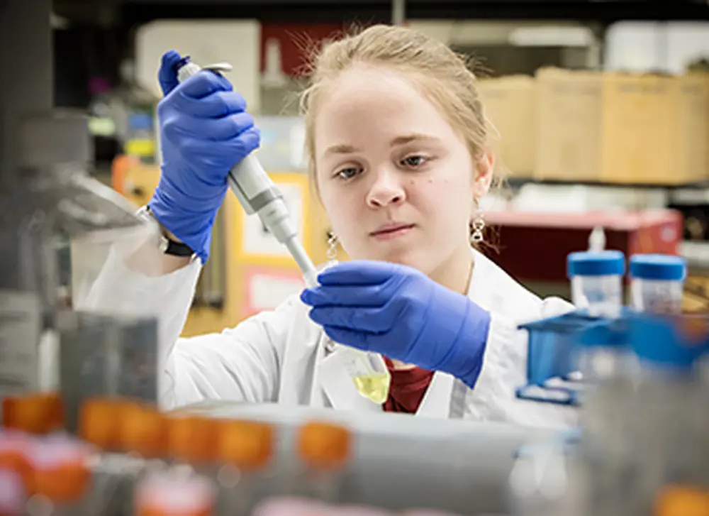Four LAS students honored by Goldwater scholarship program