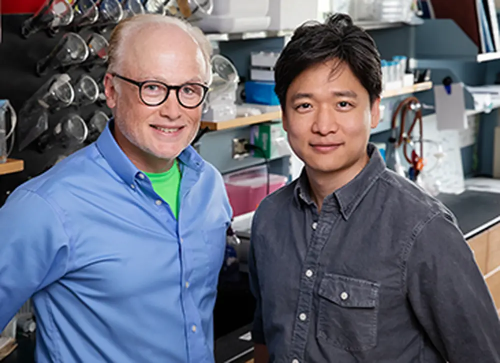 U of I study: Disease-causing stomach bug attacks energy generation in host cells