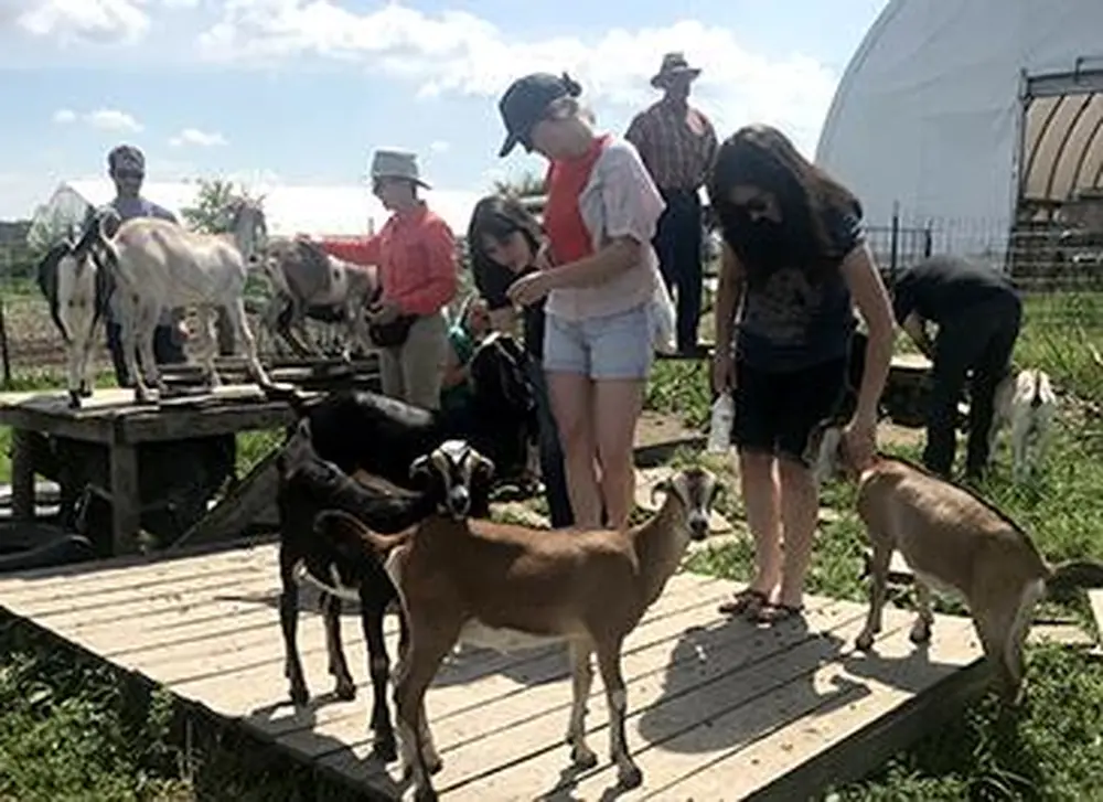Institute explores the relationship between humans and animals