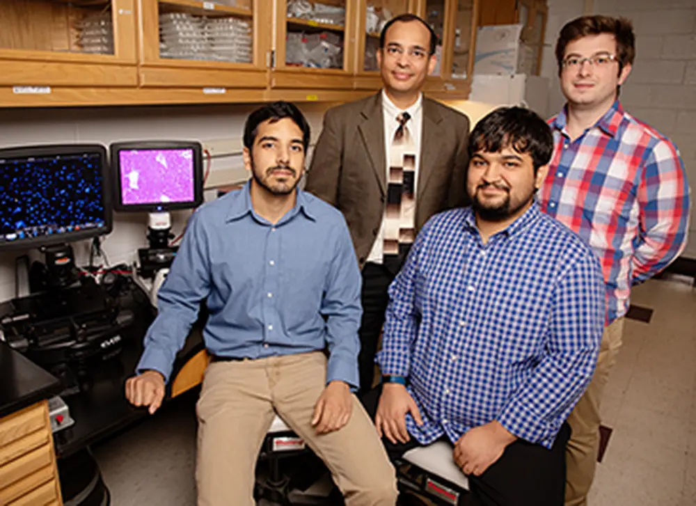 Study reveals how liver cells repair themselves