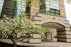 The Beckman Institute