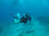 Recent graduate Abby Knipp conducts research of corals in the ocean.