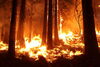 Wildfires