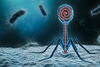 Illustration image of a phage