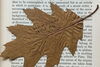Oak leaf in book