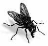 Flies' preferred eau de toilette