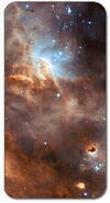 Star Nurseries