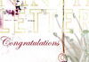 Literary Accolades
