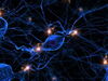 A Beautiful Mind
