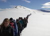 Insights in the Arctic