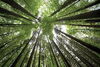 Digging into Sustainability