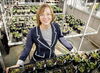 Pinpointing the effects of fertilizer