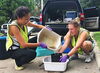 Students receive Access and Achievement Program fellowships in animal biology 