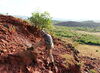 Archaeologist turns to the intersection of science and rock art for answers to human symbolic behavior