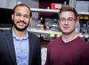 Study identifies key player in heart enlargement