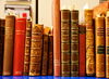 Center for Advanced Study appoints seven new faculty members