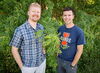 Undergraduates improve plant carbon-cycle models