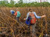 Searching for an ancient Maya pilgrimage path: Fire and water