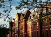 Visit the renovated Natural History Building