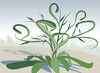 Some plants grow bigger (and meaner) when clipped, study finds