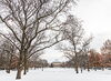 Professorial Scholars named by the College of LAS